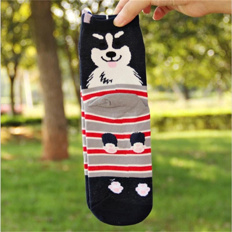 5 Pairs Women Socks Cute Dog Patterns Animal Themed Cotton Crew Socks